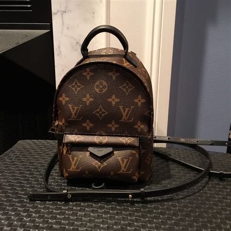 louis vuitton palm springs backpack red|Louis Vuitton small backpack price.